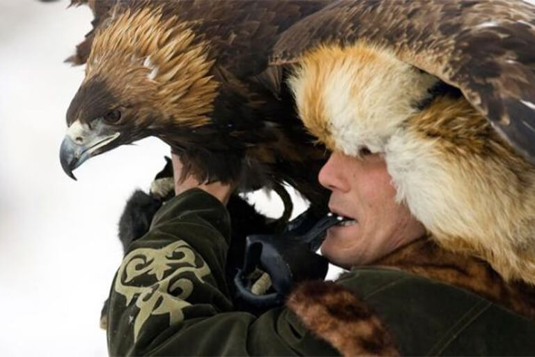 A person hunting with eagles.