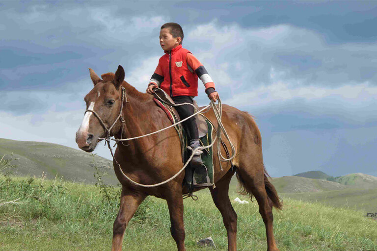 A boy riding on a horse.